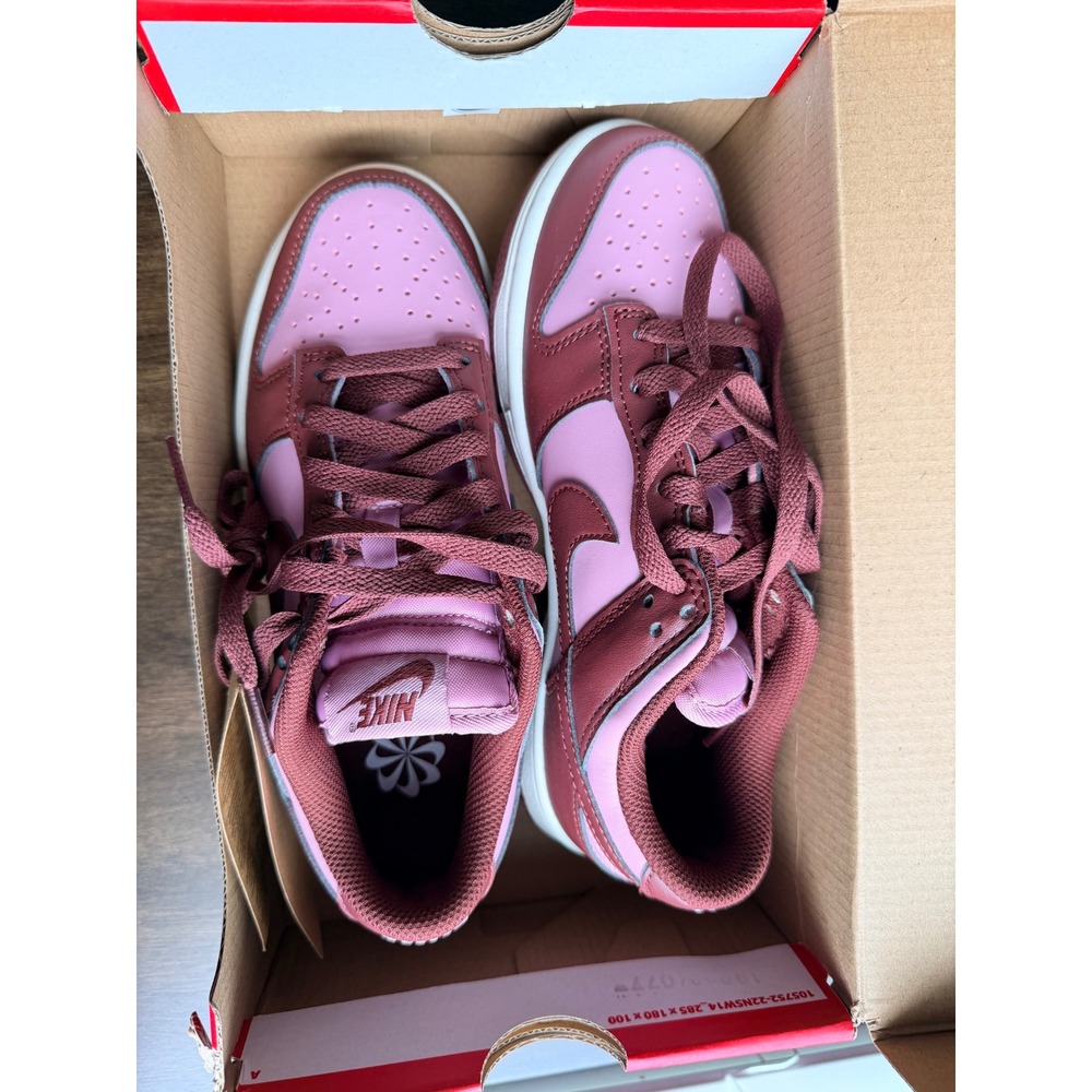 Nike Dunk Low Next Nature Cacao Wow Pale Ivory Pink DD1873-114 Womens 6